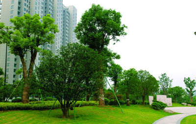 上海绿化工程-园林绿化工程设计
